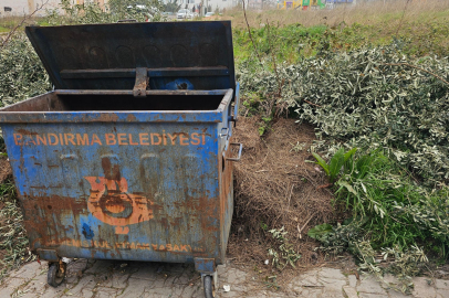 BANDIRMA’DA AĞAÇ BUDAMA ÇALIŞMALARI BAŞLADI