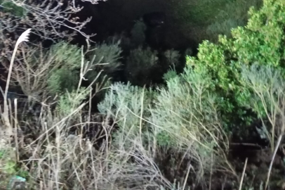 ERDEK’TE UÇURUMA YUVARLANAN ARAÇTAN MUCİZEVİ KURTULUŞ