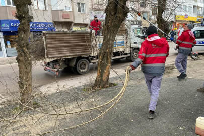 MEHMETÇİK CADDESİ'NDE AĞAÇ BUDAMA ÇALIŞMALARI BAŞLADI