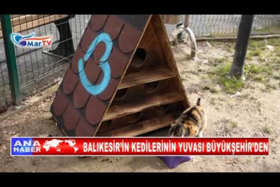 BALIKESİR’İN KEDİLERİNİN YUVASI BÜYÜKŞEHİR’DEN