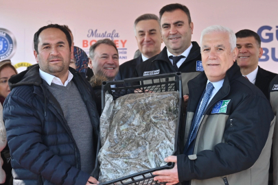 Bursa Büyükşehir’den çiftçiye 1 milyon 222 bin adet çilek fidesi