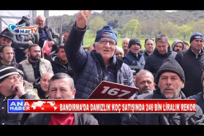 BANDIRMA’DA DAMIZLIK KOÇ SATIŞINDA 246 BİN LİRALIK REKOR