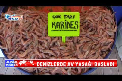DENİZLERDE AV YASAĞI BAŞLADI