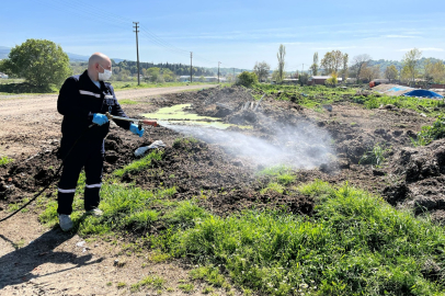 SUSURLUK’TA HAŞERELERE KARŞI ETKİN MÜCADELE SÜRDÜRÜLÜYOR