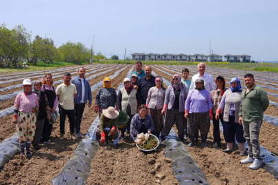 AYVALIK ÜRETİM VE PAZARLAMA KOOPERATİFİ’NDEN ÖRNEK PROJE