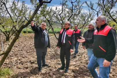 BALIKESİR’DE ZİRAİ DON SONRASI TESPİT ÇALIŞMALARI SÜRÜYOR