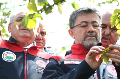 Yumaklı: Zirai Don Olayında Yağlı Tohumların Etkilenmesi Söz Konusu Olmadı