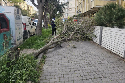 BANDIRMA’DA FIRTINA ETKİLİ OLDU