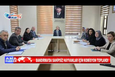BANDIRMA’DA SAHİPSİZ HAYVANLAR İÇİN KOMİSYON TOPLANDI