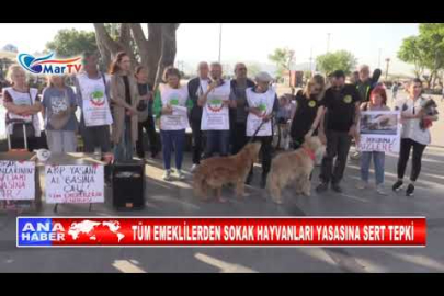 TÜM EMEKLİLERDEN SOKAK HAYVANLARI YASASINA SERT TEPKİ