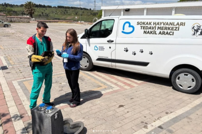 BANDIRMA’DA 65 SOKAK KEDİSİNE SAĞLIK UYGULAMASI