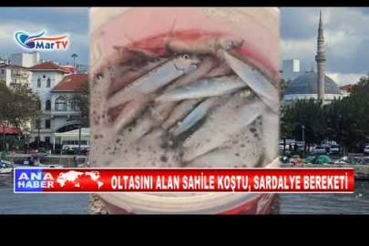 OLTASINI ALAN SAHİLE KOŞTU, SARDALYE BEREKETİ