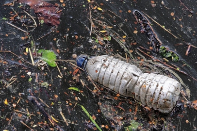 Plastik Kirliliğine Karşı En Yenilikçi Çözüm ‘Biyo-Transformasyon’’ Türkiye’de